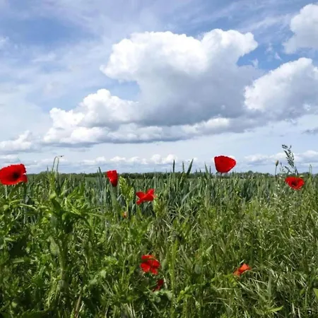 Διαμέρισμα Family-friendly In Kalkhorst Near